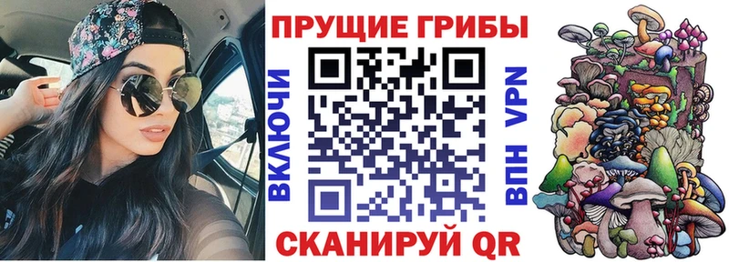 Галлюциногенные грибы Magic Shrooms  цены наркотик  Кочубеевское 